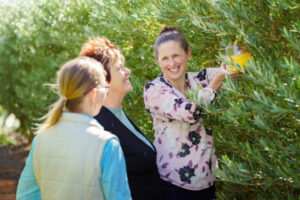 Fruit fly fight starts now