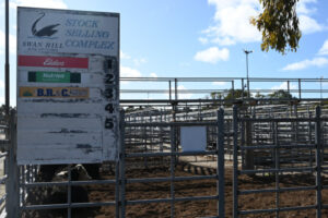 Saleyards report coming soon
