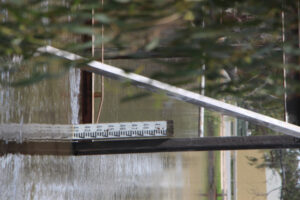 Government strategy for levees