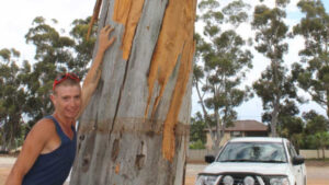 Calm reigns during stormy weather