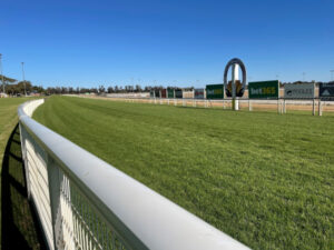 JOCKEY CLUB: HARD AS NAILS