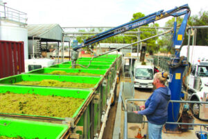 Wine alliance calls for trade calm