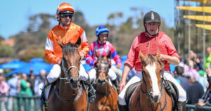 Kelly’s Savvy marathon triumph