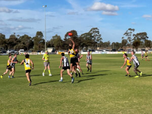 Destructive Tigers roar