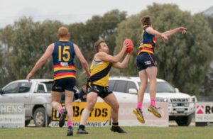 Magpies, Tigers in finals preview