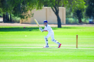 The future of cricket