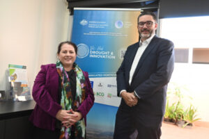 Cross border convergence in Mildura