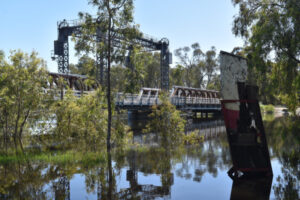 Murray River staying ‘stubbornly high’