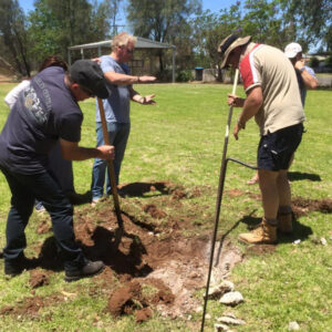 Eleventh hour historical bounty