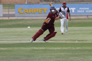 Tigers too much to handle