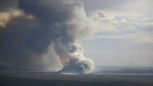 Assessing fire damage in Mallee