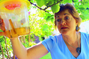 Calls for unity in fruit fly fight