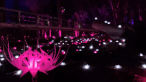 Moama Lights off but show continues