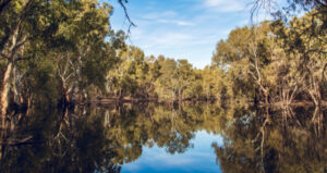 Hopes for better outcomes in basin plan extension