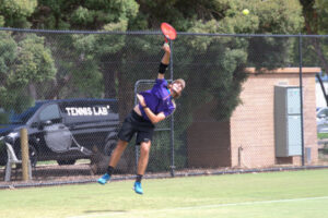 Rising stars shine on grass