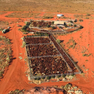 New contracting business on the horizon