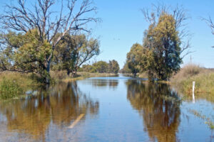 Flooding closes region roads