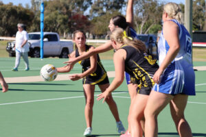 Top five fight for Tigers, Dogs