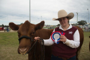Cattle show back on track