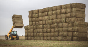Mallee grain growers desperate for skilled workers lifeline to save crops