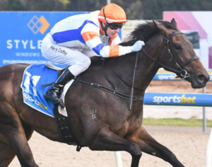 Numbers add up for stable