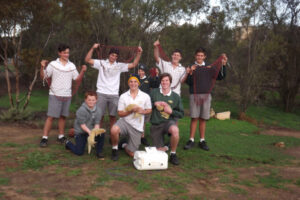 Woomelang Ferret Frenzy