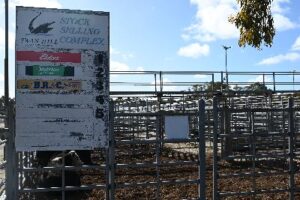 Saleyards forum details released
