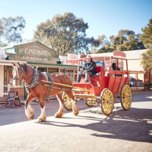 Community seeks more say in Pioneer Settlement’s future