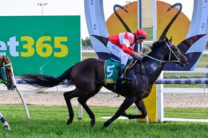 Locals excel on home track