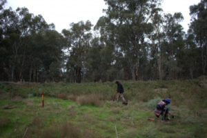 Reveg project a win for all