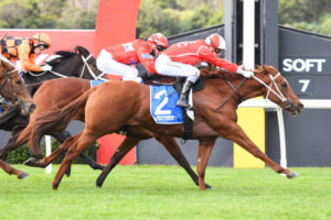 Shrewd trainer looks beyond Cup