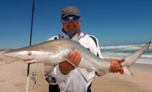 Is it time for a sea change?