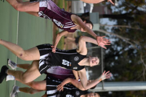 Pies still in full flight