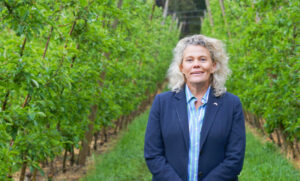 How the parties stack up on ag