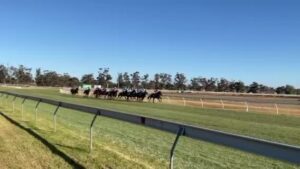 Swan Hill Race Carnival…Quamby Cup