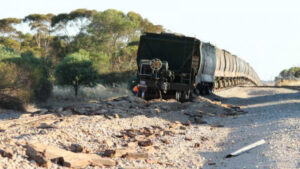 Grain train derails