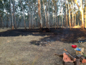 Think before lighting campfire