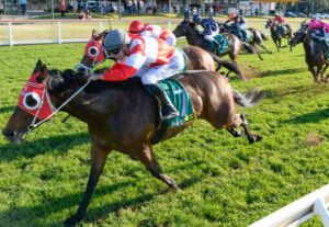 Team effort pays dividends