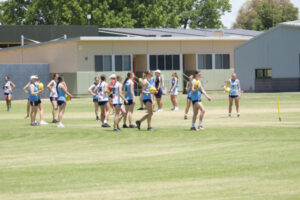 Pioneers build on proud track record