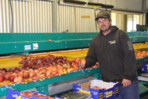 New market access is paying off