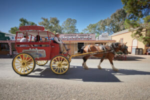 Much-loved horse leaves a legacy