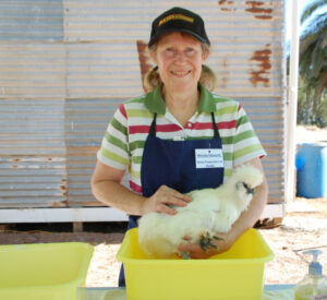 Wendy’s feathered friendships.