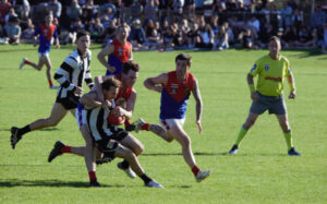 Demons run into semi-final