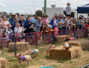 Popular attractions returning