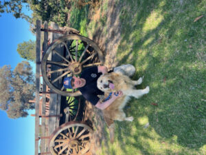 Walking dogs is just the job