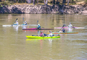 250 paddlers ache for the finish line