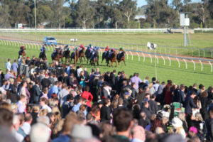 Roaring races success