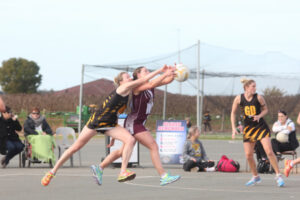 Swans end Tigers’ run