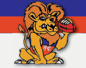 Recruits to bolster Lions