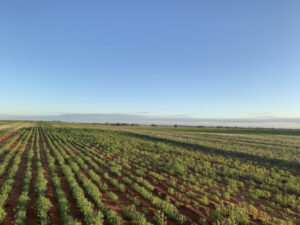 Wet winter wait continues